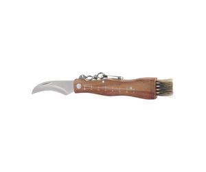 Dorre Couteau à champignons Stuti avec manche en bois brun et brosse 13×2 cm Acier inoxydable
