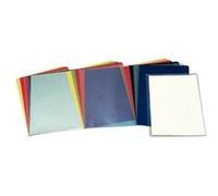 Esselte Dossier A4 Mod. 30 PVC 180 microns 100 unités Multicolore Enfants