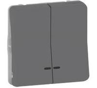 Double bouton poussoir lumineux LED IP55 IK07 - Gris anthracite - Mureva Styl Gris G