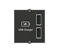 Bachmann Double Charger - Insert de montage encastré - charge USB X 2