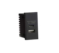 Double USB C (3.1A) Module 25 x 50mm - Noir