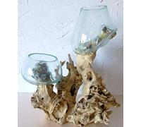 Double Vase et Terrarium en Verre soufflé sur Racine en Bois (15x15 cm, Verre). Envoi de Photos pour Choisir après Votre Commande. Livraison en Point Relais. Vendeur Francais.
