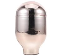 Doublure Thermique Réutilisable 1l en Verre sous Vide pour Bouteille | Surface Lisse Argentée, Ouverture Étroite, Résistance aux Odeurs et Taches, Usage Maison Restaurant