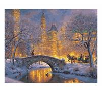 Douce Nuit à Central Park - peinture par numéros