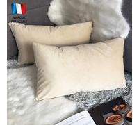 Douceur De Plumes Lot de 2 Housse de Coussin décorative Beige Velours 30x50 cm Uni, Taie d'oreiller Rectangulaire Doux et Moderne pour Salon Scandinave Creme, Canapé Chambre (2 Beige)