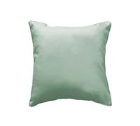 Douceur d'Intérieur, Coussin Déhoussable (40 x 40 cm) Essentiel Sauge, Polyester Uni