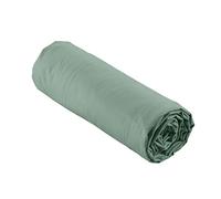 douceur d'intérieur, Drap Housse (140 x 190 cm) Percaline Tilleul, 100% Percale de Coton