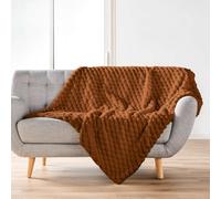 Douceur d'Intérieur, Plaid Doux, 125 x 150 cm, Frosty, Camel, Sherpa | Effet fourrure, idéal pour canapé et lit, chaud, confortable, facile d'entretien