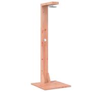 Douche d'extérieur vidaXL 210 cm en bois massif de douglas et acier inoxydable naturel