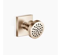 Douche latérale Dornbracht sans registre, rosace 60x60mm, 28528782-46, Couleur: Champagne brossé