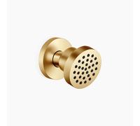 Dornbracht côté douche 28518979-28 sans contrôle du volume, le laiton brossé