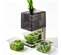 DPLXQPP Coupe-Oignons Vert électrique pour Restaurant De Canard,Râpe à Oignons Professionnelle 200w 50kg/H,Hachoir à Légumes Automatique INOX,4 Tailles De Lames,3h De Travail 3.5mm