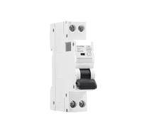 DPN MCB 1P+N 6A 10A 16A 20A 25A 32A 40A 220V AC Circuit Breaker 6KA C Curve B Curve Din Rail 6KA MCB BIANMTSW(C Curve,16A)