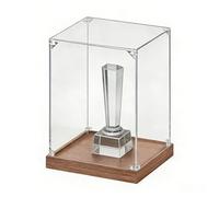 DQZRTUECA vitrines en Plastique Transparent, Présentoir en Acrylique Transparent, Base Bois épaisse et empilable, Multicolore, Plusieurs Tailles(B,30x30xH 40cm (12x12xH 16in))