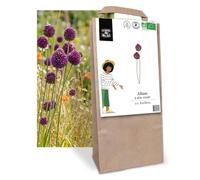 Dr. Jonquille & Mr. Ail, 10 Bulbes à Fleurs Allium à Tête Ronde BIO, 100% Bio et Sans Plastique, France