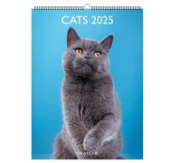 DRAEGER PARIS 1886 - Calendrier Mural Chats 2025 - Grand Format 29x39 cm - Jan-Dec - Illustrations Déco - Idée Cadeau Originale - Papier FSC & Encres Végétales - Multilingue - Photos Affichables