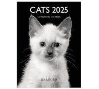 DRAEGER PARIS 1886 - Petit Calendrier Mural 14x18 cm 2025 - Chats Noir & Blanc - De Septembre 2024 à Décembre 2025-12 Photos - 7 Langues - Design Élégant - Papier Haute Qualité - Compact & Pratique