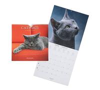 DRAEGER PARIS | Calendrier mural chats 2023 à suspendre 29x29cm |16 mois sept22-dec 23 | 7 langues | Calendrier maison, cuisine, bureau mensuel | 12 photos chats et chatons | Papier certifié FSC®