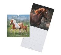 DRAEGER PARIS |Calendrier mural déco Chevaux 2023 à suspendre 29x29 cm| 16 mois sept 22 à déc 23| 7 langues | Calendrier bureau, cuisine, maison mensuel | Encres végétales | Papier certifié FSC®