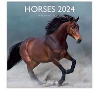 DRAEGER PARIS | Grand calendrier mural Chevaux 2024 à suspendre 29x29cm |16 mois sept-23 à dec 24 | 7 langues | Calendrier bureau, maison, mensuel | Décoration, organisation | Papier certifié FSC®