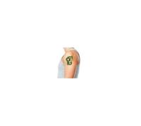 Dragon Ball Z - Tatouages Temporaires X5