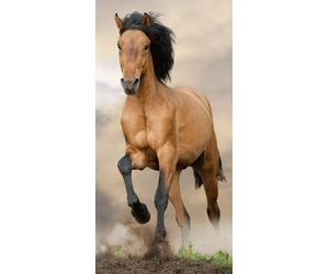 Drap de douche Serviette de bain Serviette de plage Cheval 70 x 140cm