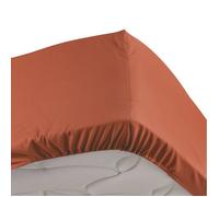 douceur d'intérieur, Drap Housse (180 x 200 cm) Percaline Terracotta, Percale de Coton