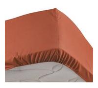 douceur d'intérieur, Drap Housse (140 x 190 cm) Percaline Terracotta, Percale de Coton