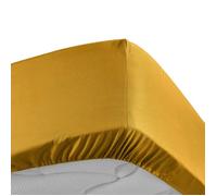 Douceur d'Intérieur Drap housse Percaline 100% percale de coton 90x190 cm Bonnet 30 cm Curry