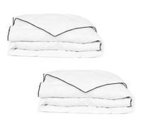 Vidaxl Couette En Duvet D'hiver 2 Pcs 155 X 220 Cm