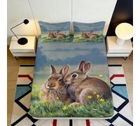 Drap Housse Lapin 3D Printed, Microfibre Toucher dou, Protection Matelas, Facile à Entretenir, Cadeau Chambre d'amis, caractères 120x200x25cm