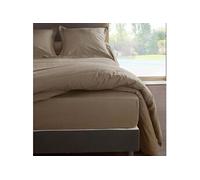 Drap housse Loutre en percale de coton 160 cm