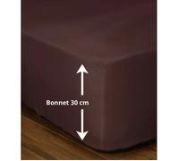 Drap-housse - LOVELY HOME - LH71594 - 180x200+30 cm - Marron
