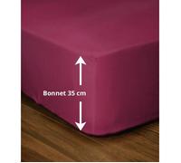 Lovely Home - Drap-housse LH71607 - 180 x 200 + 35 cm - Fuchsia
