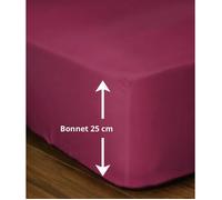 Drap-housse - LOVELY HOME - LH71615 - 160x200+25 cm - Fuchsia