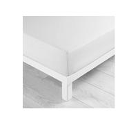 Douceur d'Intérieur - Drap-housse Oscar - Microfibre unie 160 x 200 cm - Blanc