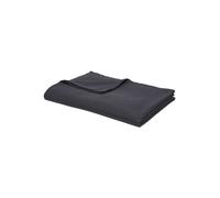 Drap plat - TODAY - Essential - 240x300cm - 100% coton - Lavable à 60°