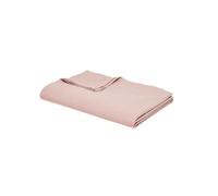 Drap plat - TODAY - Essential - 240x300cm - 100% coton - Lavable à 60°