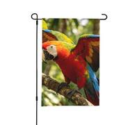 Drapeau de jardin double face 30,5 x 45,7 cm | Bannière décorative en plumes colorées pour anniversaire, mariage, animal de compagnie et pendaison de crémaillère toutes
