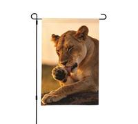 Drapeau de jardin double face 30,5 x 45,7 cm | Bannière décorative pour anniversaire, mariage, animal de compagnie et pendaison de crémaillère pour toutes les saisons