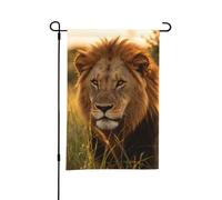 Drapeau de jardin double face 30,5 x 45,7 cm | Bannière décorative pour anniversaire, mariage, animal de compagnie et pendaison de crémaillère toutes saisons