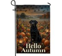 Drapeau de jardin pour chien, lanterne rustique saisonnière citrouilles orange automne double face en toile de jute pour extérieur, terrasse, pelouse, porche, balcon 30,5 x 45,7 cm