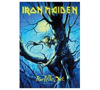 Drapeau fear poster iron maiden of the dark live