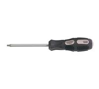Draper 40053 Tournevis TX Star 25 x 100 mm