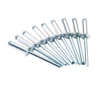 Draper Rivets Store 4.8 x 16mm 50 Pièce Aluminium avec Acier Mandrin 14012