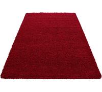 Dream Shaggy tapis poils longs rectangle 80x150cm rouge