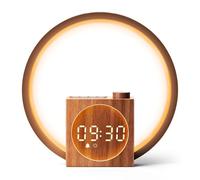 Dreamegg Lampe de Chevet avec Réveil Simulateur d'Aube, 25 Sons Apaisants | Tactile Dimmable, 20 Niveaux de Lumière, 12 Modes d'Éclairage, Rechargeable, Machine à Bruit Blanc Bébé pour Chambre, Cadeau
