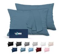 Dreamzie Taie Oreiller 40x60 Lot de 2 en Microfibre Certifiée Oeko-Tex - Housse Oreiller 60x40 Douce Et Brossée, Toucher Peau de Pêche - Bleu Clair