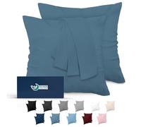 Dreamzie Taie Oreiller 60x60 Lot de 2 en Microfibre Certifiée Oeko-Tex - Housse Coussin Douce Et Brossée, Toucher Peau de Pêche - Bleu Clair