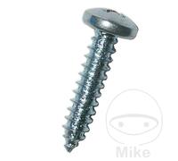 Dresselhaus 6040/001 5.5 X 19 Mm Seat Screws 100 Units Argenté